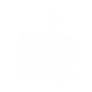 Velo Coffee Roasters